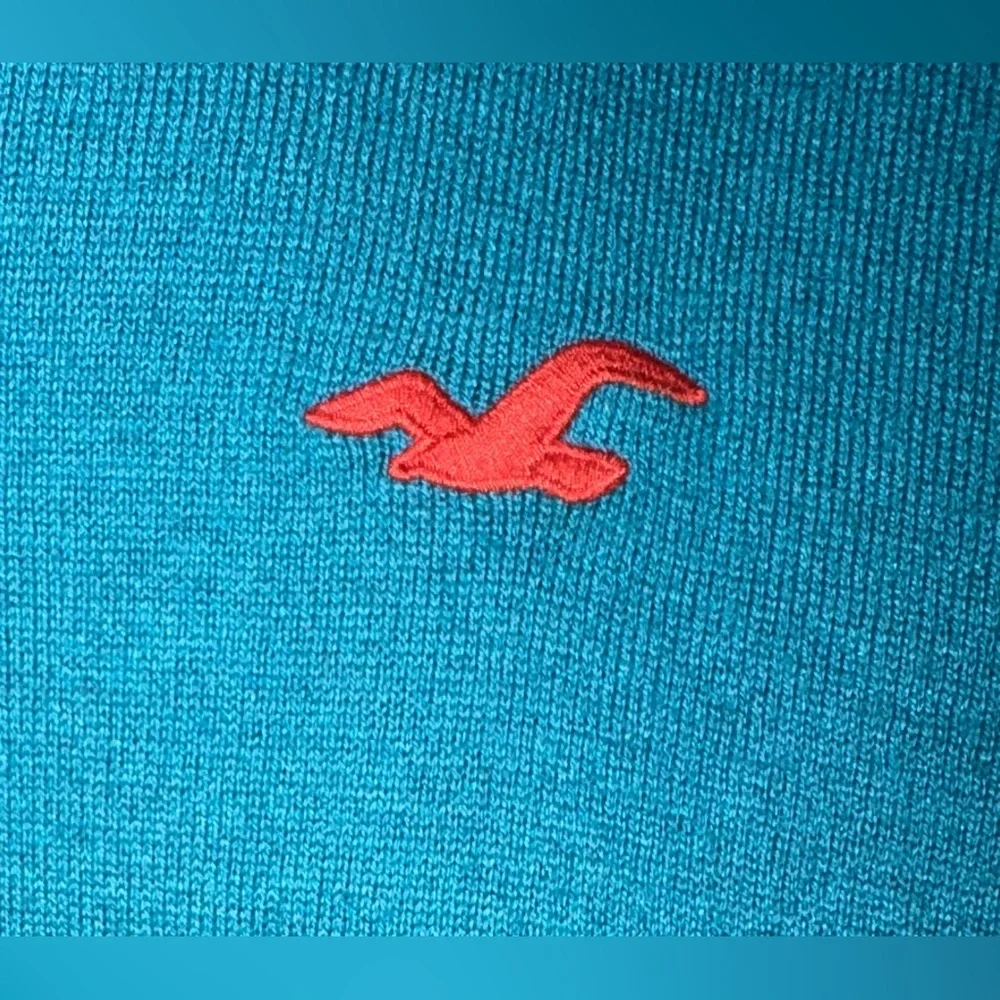 Hollister Men's V-Neck Sweater Size Medium Lightweight Teal w Seagull Icon